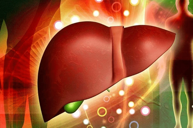 Effects of drugs for potency on the liver