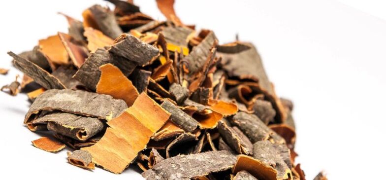 Aspen bark for the preparation of broths and infusions that enhance male potency
